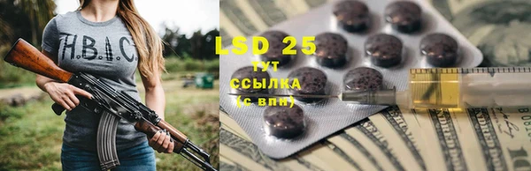 PSILOCYBIN Покачи