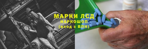 PSILOCYBIN Покачи